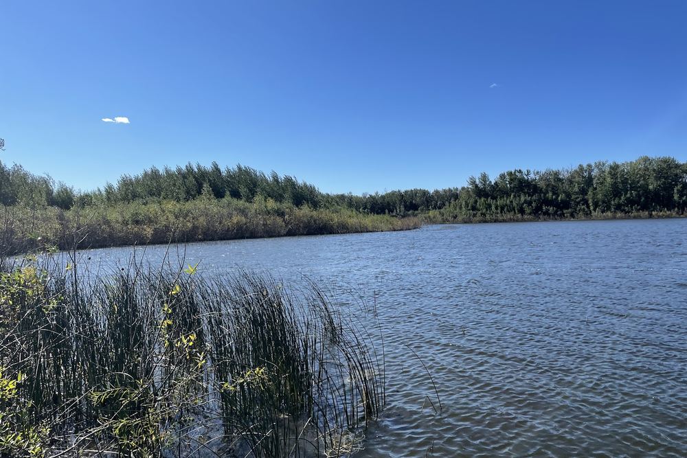 Muir Lake
