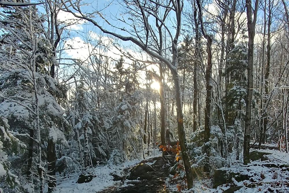 Parc municipal de l'Érablière