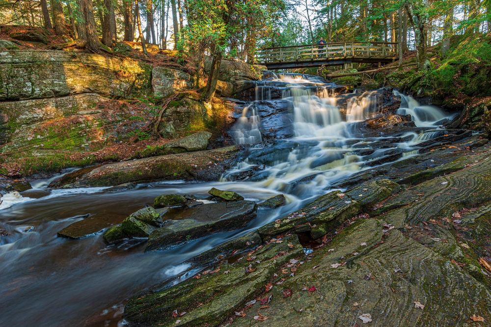 Potts Falls