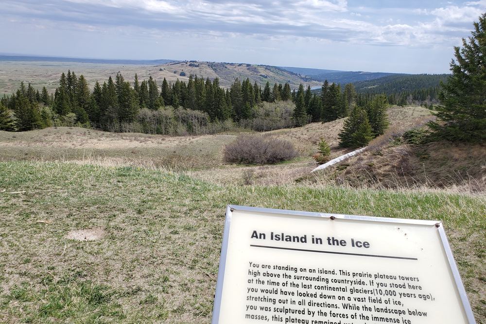 Reesor Lake Viewpoint