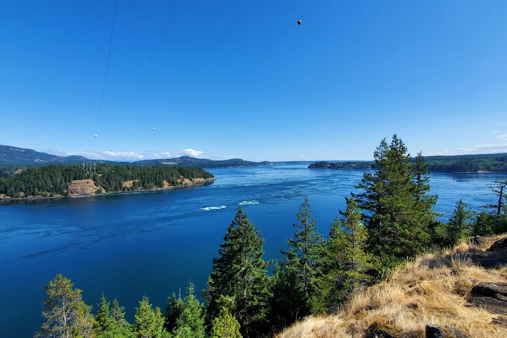Ripple Rock Hike Lookout