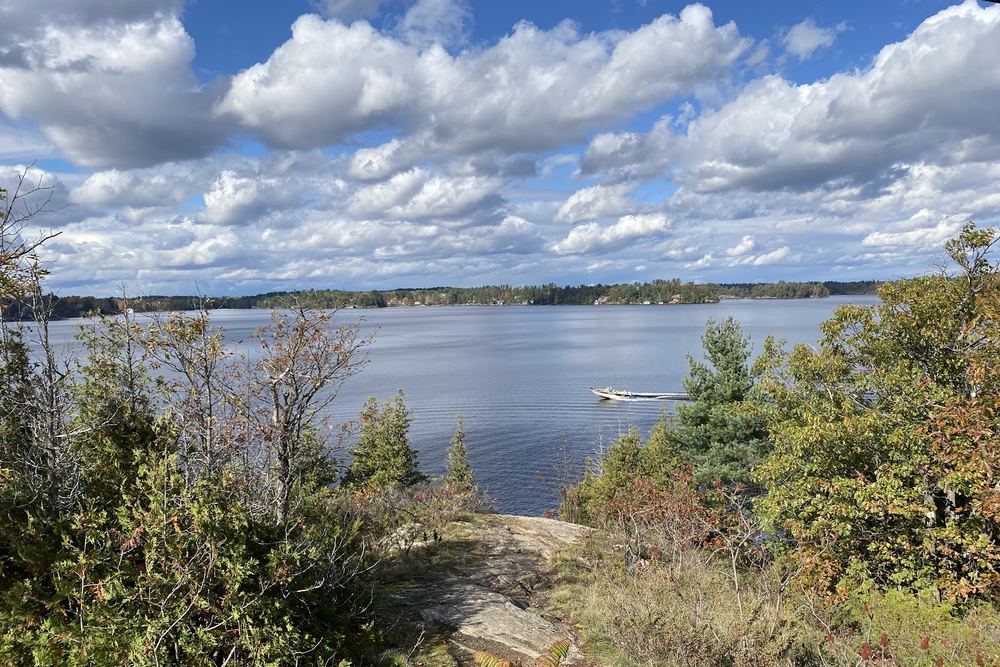 Scenic Lookout - Gazebo