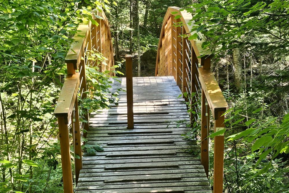 Sentier de la Forêt Marine | La Seigneurie