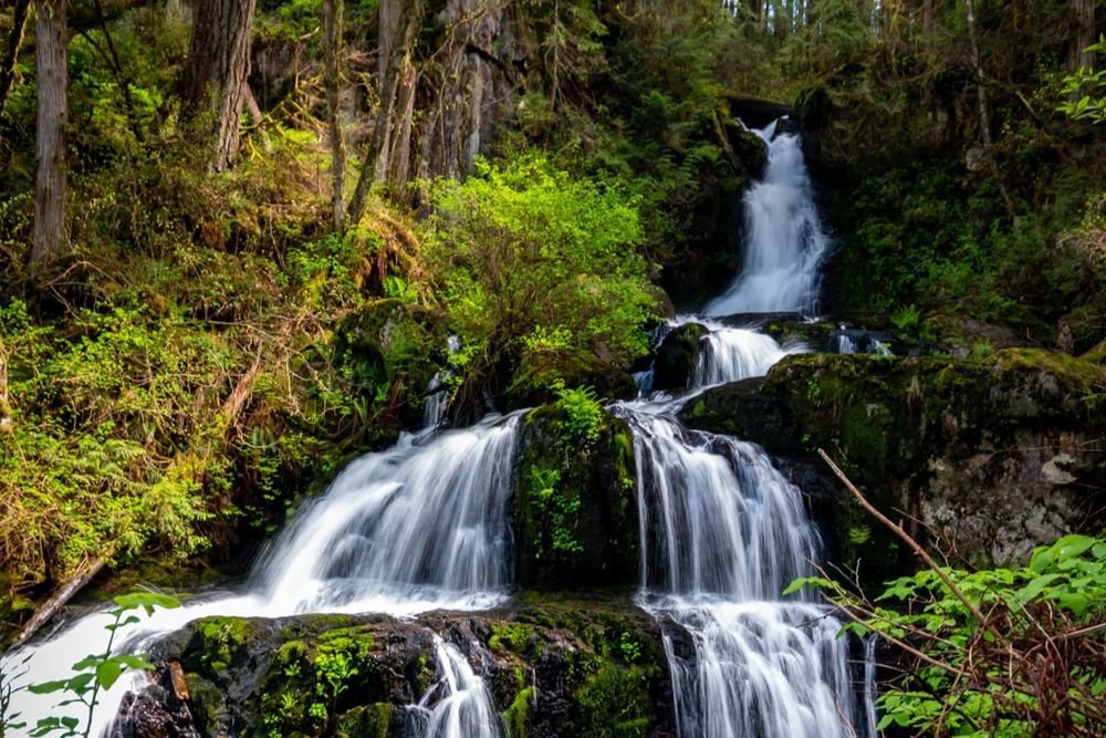 Steelhead Falls