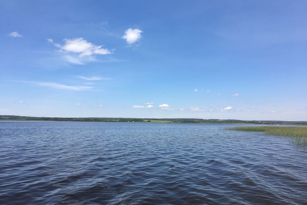 Sturgeon Lake