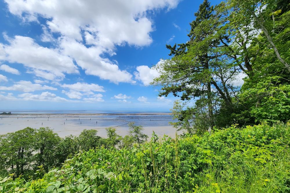 SW Marine Drive Viewpoint