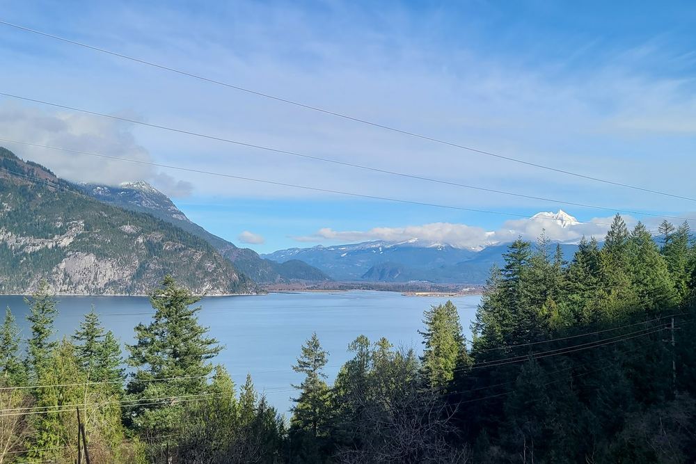 Viewpoint on highway 99