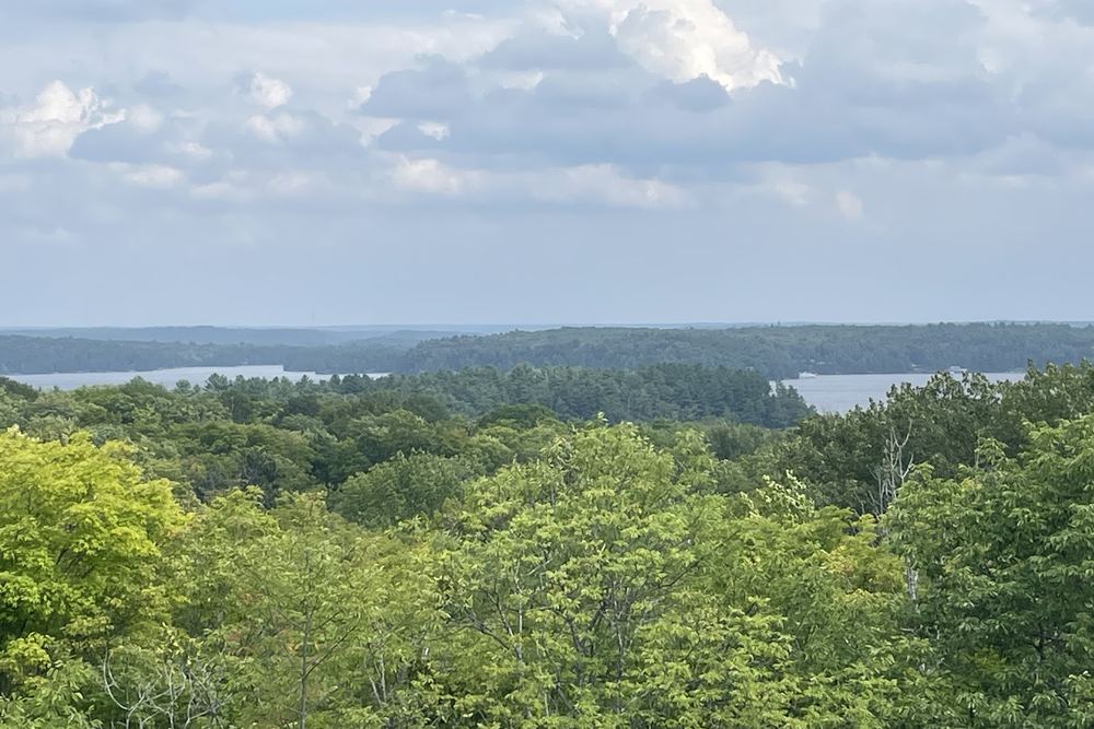 Walker's Point Lookout Trail