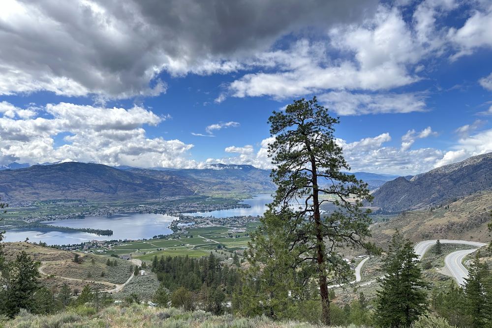 Welcome to Osoyoos lookout