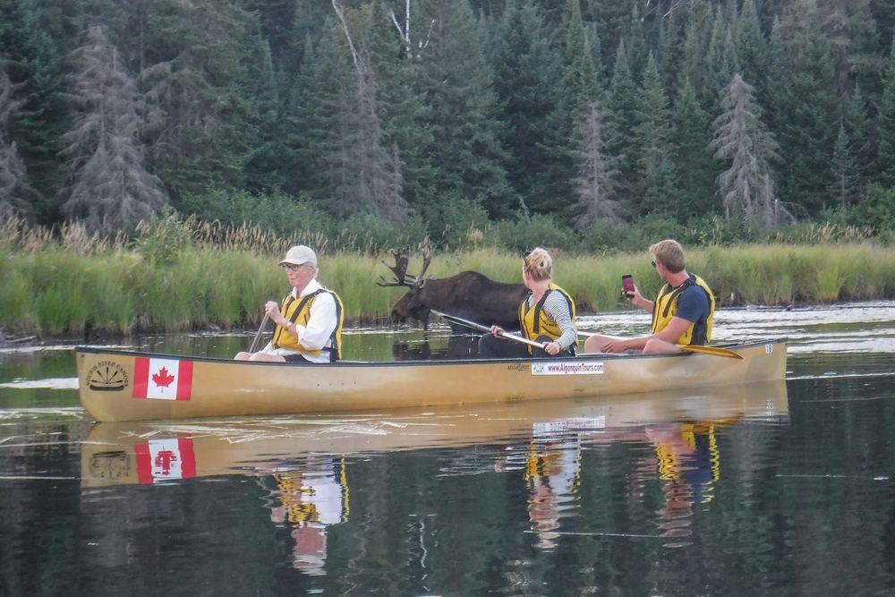 Algonquin Park Adventure Tours