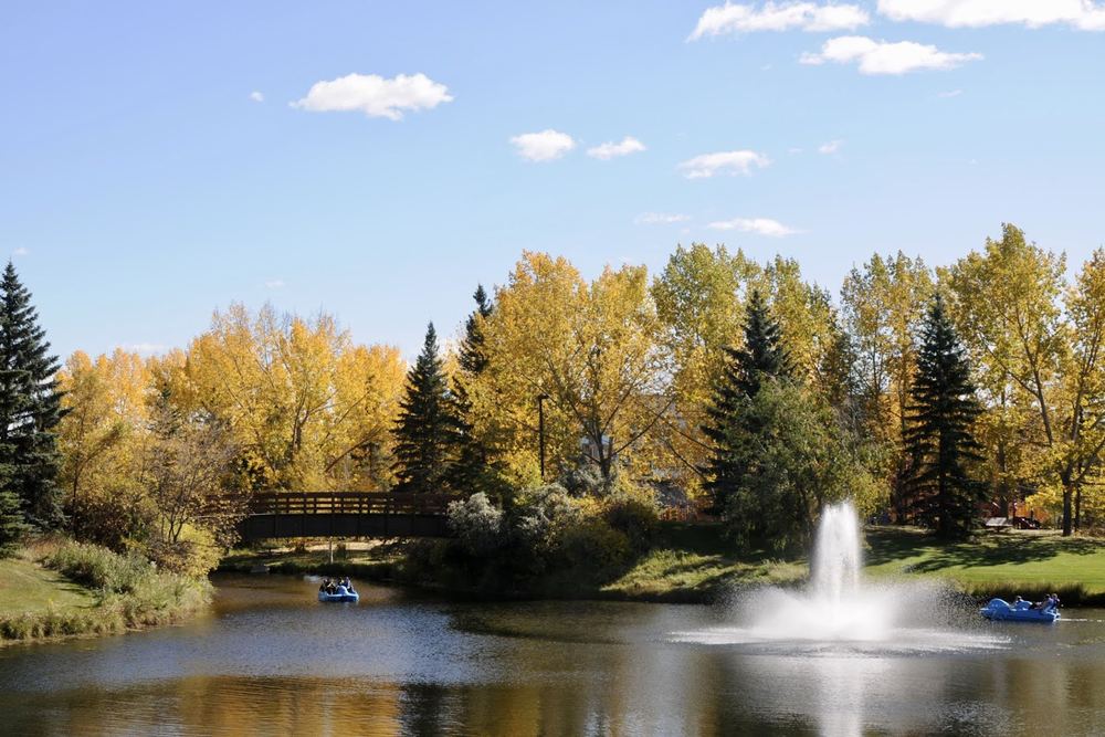 Bower Ponds