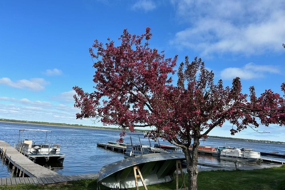 Myriad Fins Cottage and Marina