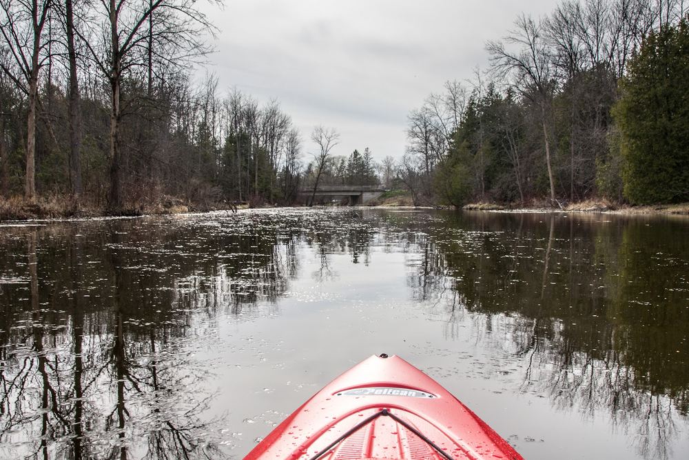 Riverview Kayaking and Wellness